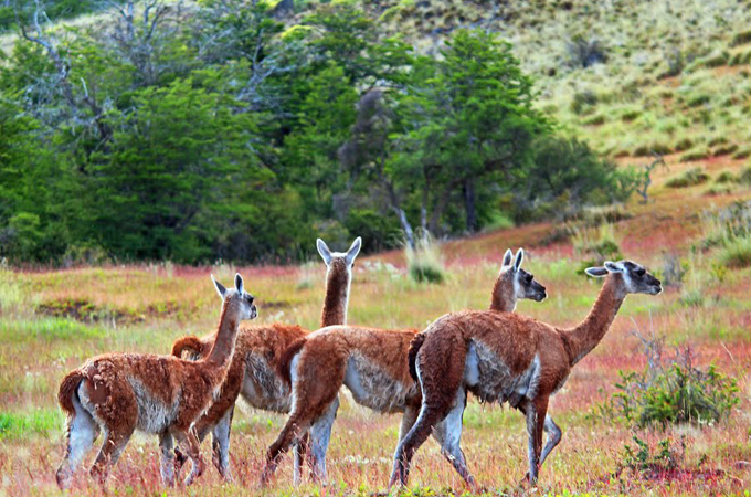 Estancia-Valle-Chacabuco