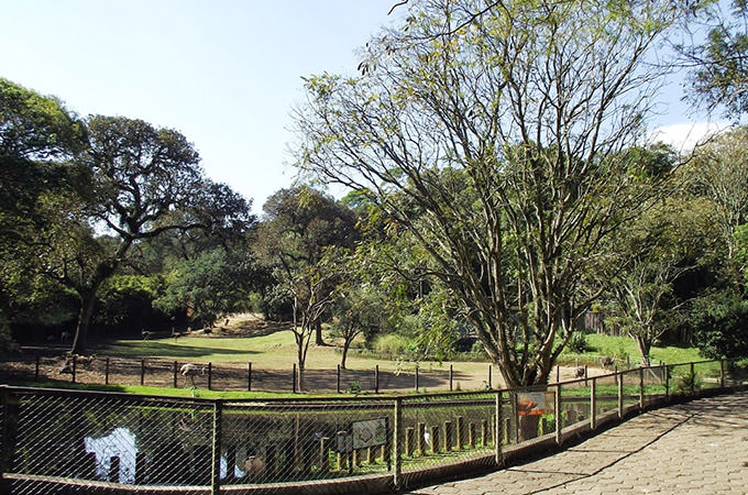 Zoológicos em São Paulo - Parque