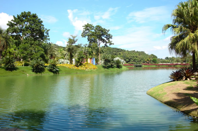 Brumadinho